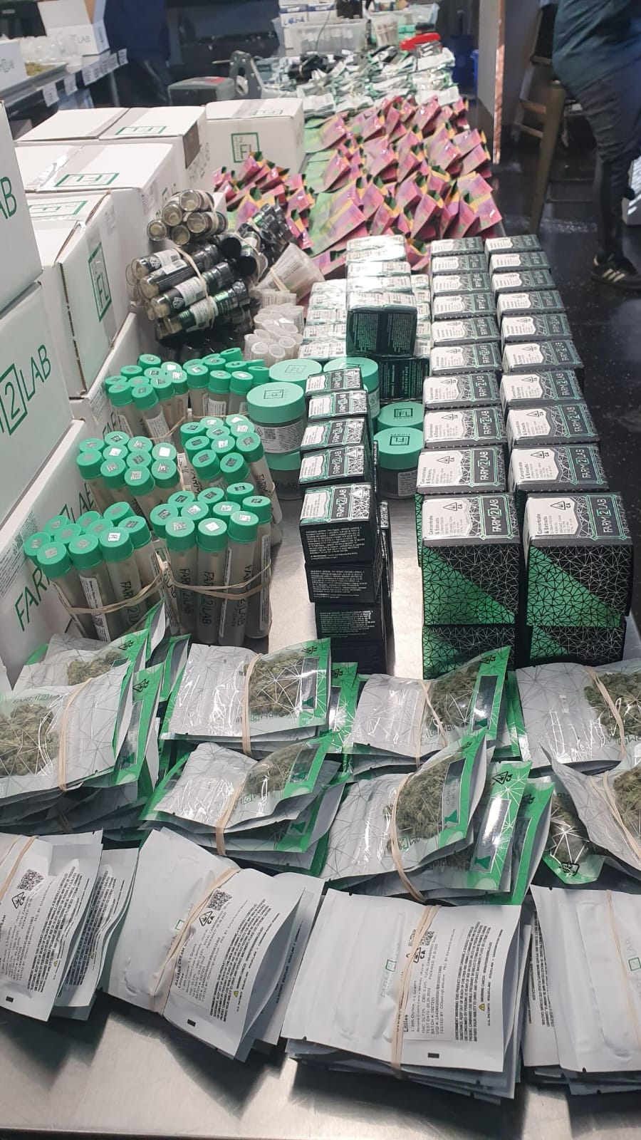 2026 Cannabis Resolutions